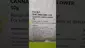 Video Thumbnail: Mary Jane Media 420