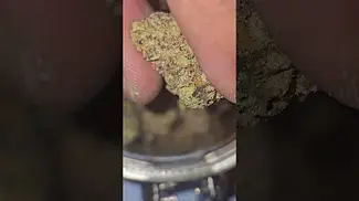 Green Karat  - Bip City - FULL REVIEW - MY HONEST OPINION