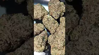 NEXT FRIDAY BLUEBERRY FUEGO (UK PRESCRIPTION MEDICATION)