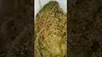 Upstate Huckleberries medical cannabis UK