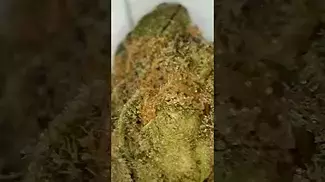 Upstate Huckleberries medical cannabis UK