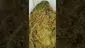 Video Thumbnail: UK and Legal