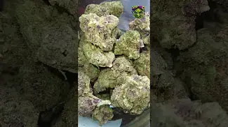 Upstate | Tropical Cherry | UK Medical Flower | First look