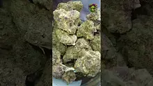 VIP THC Video Thumbnail