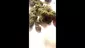 Video Thumbnail: Cannabis is Medicine