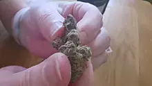 MumMedCanUK Video Thumbnail