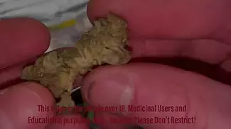 Lavender Cake by Find / Curaleaf - Strain Review #03