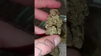 Pucker Up by 4c Labs MC #medical #4c #labs #uk #pucker #up