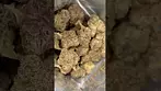 Medicus FC Smalls T24 Fire Cookies
