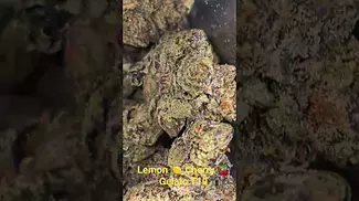 AAAA - Lemon Cherry Gelato 19% - First look out the bag
