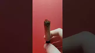 Roll test - Georgia Pie