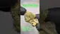 Video Thumbnail: Review Budd