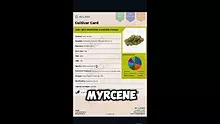 MedCannaBliss Video Thumbnail