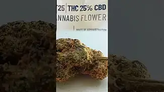 Mamedica Pink Kitty PK T25 | Hybrid Flower (WAP x ZOAP)