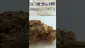 Video Thumbnail: Good Marijuana Strains