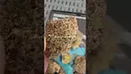 Blueberry Fuego medical cannabis 24%thc Hybrid Non Irradiated from Next Friday, out of the packet