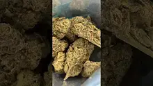 High Jack Video Thumbnail