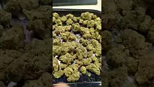 PrescribedBouquet Video Thumbnail