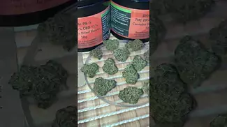 BIG NARSTIE PAPAYA BANTZ 2025 UK MEDICAL CANNABIS PATIENT FLOWER VIDEO   BEAUTIFUL 