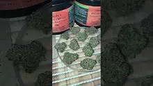 Medical Cannabis Patient Reviews UK Video Thumbnail