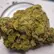 Flower Photo of All Flower/Strains (Prescription Medical Cannabis) BNJ T26 Banjo