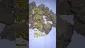 Video Thumbnail: Henry Hemp