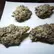 Flower Photo of All Flower/Strains (Prescription Medical Cannabis) MAC3 T22 Miracle Alien Cookies
