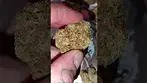 Morning Sun by 4c Labs MC #medical #uk #alternaleaf #haze #avoid