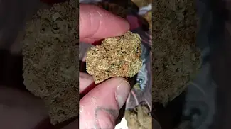 Morning Sun by 4c Labs MC #medical #uk #alternaleaf #haze #avoid
