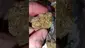 Video Thumbnail: WestPacks420