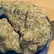 Flower Photo of Companies Cultivating/Producing UK Medical Cannabis Craft MOC T25 Miracle Alien Cookies