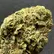 Flower Photo of All Flower/Strains (Prescription Medical Cannabis) OB T25 Original Blitz