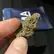 Flower Photo of All Flower/Strains (Prescription Medical Cannabis) RP T28 Rainbow Pie