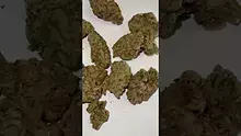 High Jack Video Thumbnail