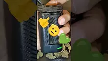 Facts 32 Video Thumbnail