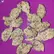 Flower Photo of All Flower/Strains (Prescription Medical Cannabis) FPS T25 Funk Petals