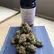 Flower Photo of Importers & Pharmacy Wholesalers DI T28 Dante's Inferno #8
