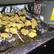 Flower Photo of All Flower/Strains (Prescription Medical Cannabis) KSC T26 Kush Cookies