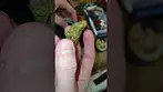 UK medical cannabis prescription GMO