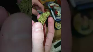 UK medical cannabis prescription GMO