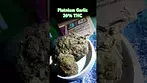Platnium Garlic 26% 4C Labs Releaf UK Medical Cannabis #medicalcannabis