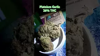 Platnium Garlic 26% 4C Labs Releaf UK Medical Cannabis #medicalcannabis