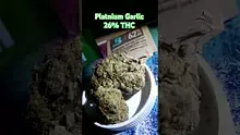 Frank Wars Video Thumbnail