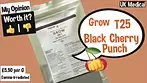 Grow T25 Black Cherry Punch Uk Medical Review