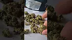 Curaleaf - Zookies (T26)(UK Medical Cannabis Prescription)
