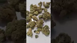 Bc green HGH T33 heavy gas hitter  Happy day
