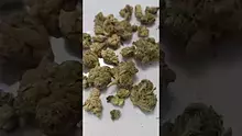 Facts 32 Video Thumbnail