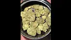 PINK GASOLINE T28 | BUDS 1 #ukmedicalcannabis #strain #strainreview #ukmedical #bignarstiemedical