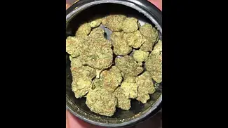 PINK GASOLINE T28 | BUDS 1 #ukmedicalcannabis #strain #strainreview #ukmedical #bignarstiemedical