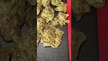 CheeseMon4 Video Thumbnail